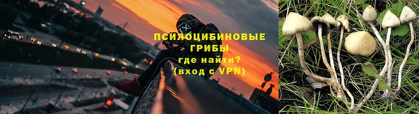 apvp Заводоуковск