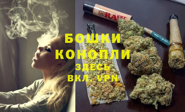 молекула духа Заволжье