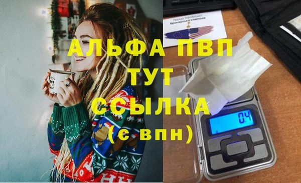 молекула духа Заволжье