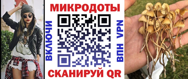 Псилоцибиновые грибы Psilocybe  Боготол 